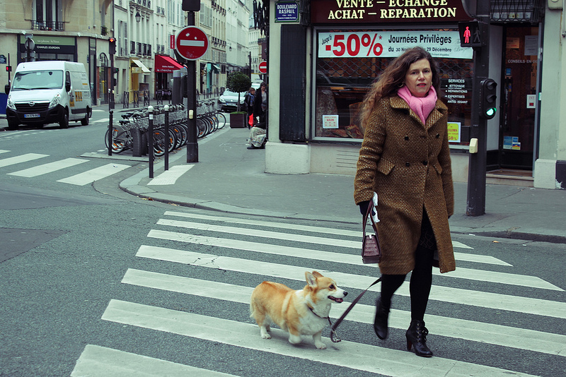 People in Paris walk with their dogs to get around, and it's no surprise. So do people in the Arctic! © Mia Bennett, 2012.